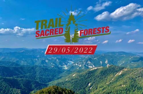TRAIL SACRED FORESTS 2022